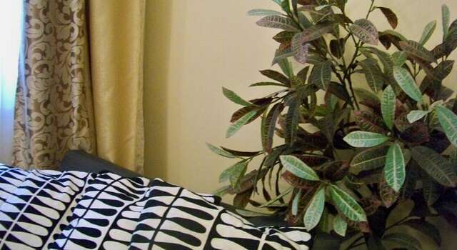 Гостиница Club Hotel Boston Брянск-116